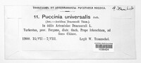 Puccinia universalis image